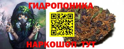 сатива Рязань